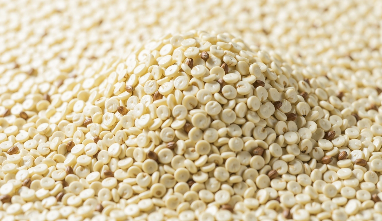 Particolare di grani integrali bio